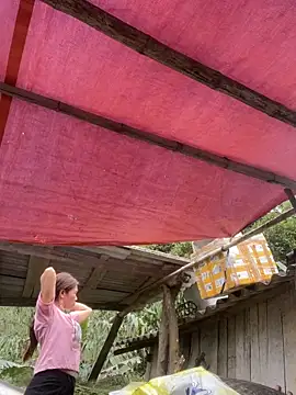 meganmeo online show from March 2026 05:51:02 AM