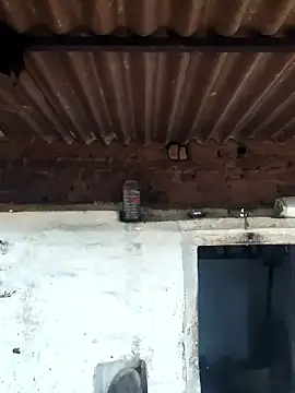 Babita Gori online show from April 2026 02:35:01 AM