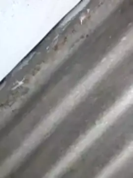 Babita Gori online show from April 2026 02:29:02 PM