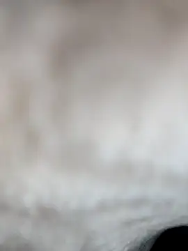 Snapshot of jiniya6789 chatting on January 2026 08:18:02 AM jiniya6789 online show from January 2026 08:18:02 AM