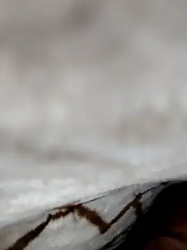 Snapshot of jiniya6789 chatting on January 2026 07:54:02 PM jiniya6789 online show from January 2026 07:54:02 PM