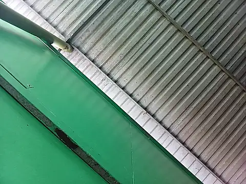 Lin-kute98 online show from April 2026 12:56:01 AM