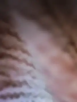 Snapshot of Punam_panjabi chatting on February 2026 07:52:02 AM Punam panjabi online show from February 2026 07:52:02 AM