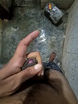 telugupillodu001 online show from November 2025 05:02:02 PM