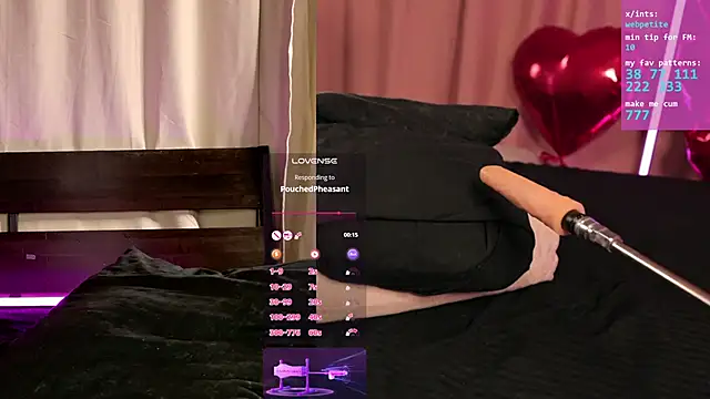 webpetite online show from February 2026 06:19:02 AM