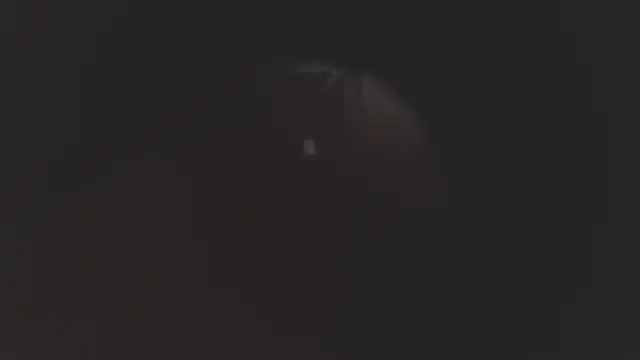 megan lenon online show from December 2025 03:10:02 AM