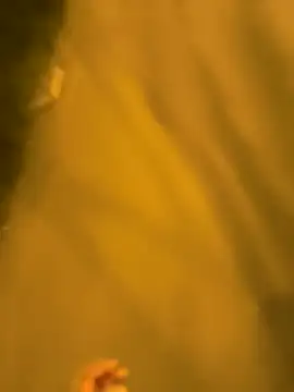 Razvan696969 online show from April 2026 08:33:01 PM