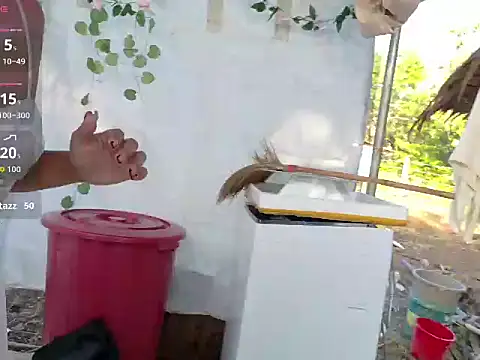 Juliet official pro online show from March 2026 11:33:01 PM