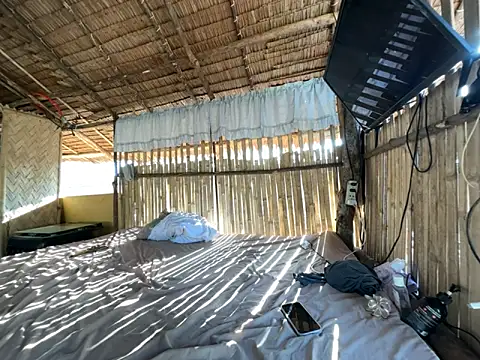 Juliet official pro online show from April 2026 11:44:01 PM