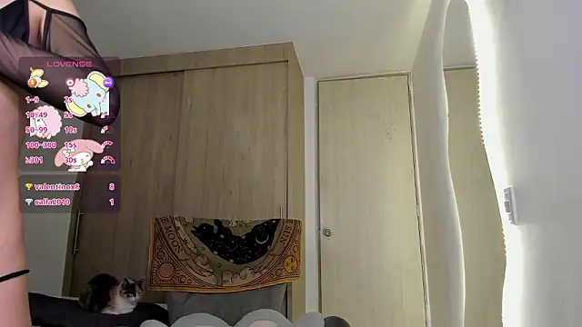 sofy meuw online show from February 2026 06:35:01 AM