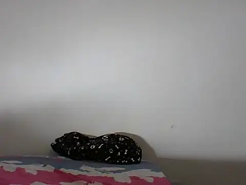 monojerez online show from February 2026 06:03:01 AM