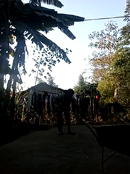 hey-bana online show from November 2025 12:11:02 AM