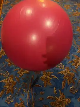 Rabizoon online show from December 2025 01:03:02 PM