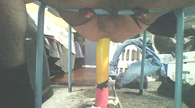 xxxenzo1 online show from March 2025 07:01:01 AM