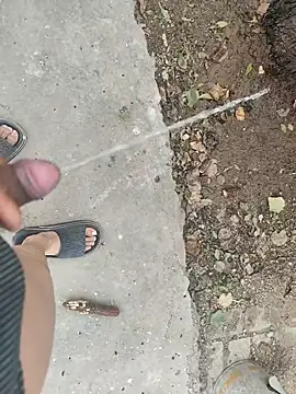 Adandan01 online show from December 2025 03:52:01 AM