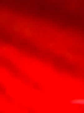 bigdick2299 online show from February 2026 11:38:02 PM