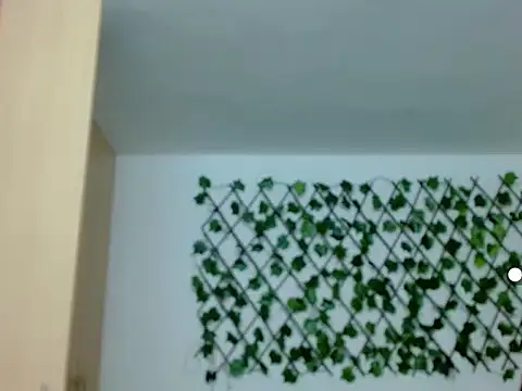 kuroneko 97 online show from November 2025 08:20:02 PM