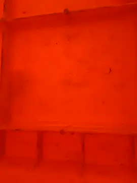 virgin cunt online show from November 2025 12:05:02 PM