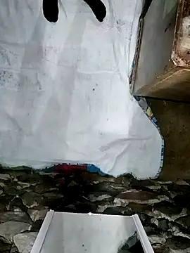 sexygosht online show from December 2025 03:05:02 AM