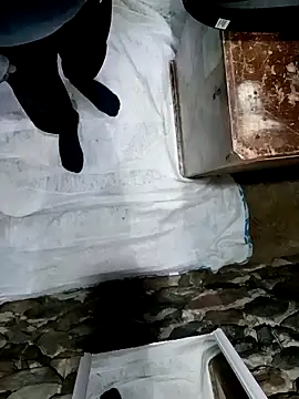 sexygosht online show from December 2025 03:27:02 AM