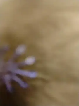 RASHMI SHARMA9 online show from February 2026 04:00:02 AM