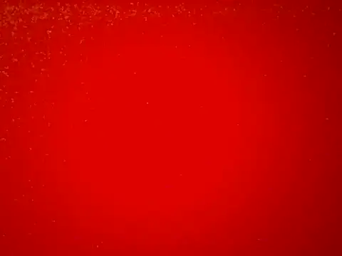 Londy170 online show from December 2025 09:00:01 AM