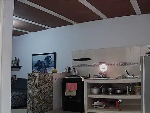 Michikomalandroxh online show from December 2025 08:45:02 PM