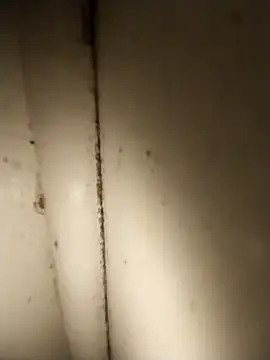 AdvancedRoster online show from April 2026 03:18:01 PM