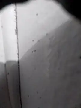 AdvancedRoster online show from February 2026 09:52:01 AM