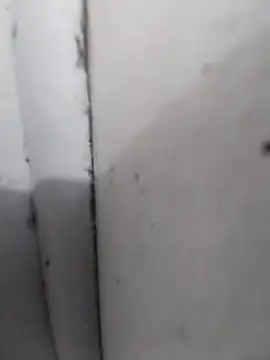 AdvancedRoster online show from April 2026 06:05:02 PM