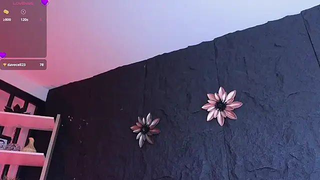 Paulo 527 online show from January 2026 09:30:01 PM