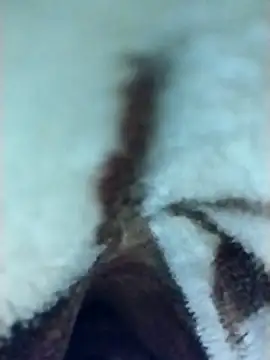 Harry254238 online show from January 2026 05:50:01 PM