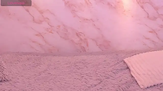 Dakota ferreti  online show from April 2026 05:58:01 PM