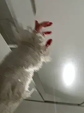 Seven-017 online show from December 2025 06:59:01 AM