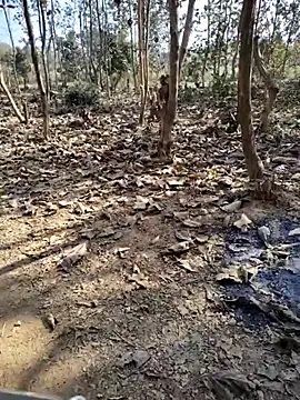 88zaifkhan88 online show from January 2026 04:41:02 AM