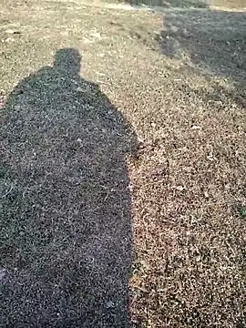 88zaifkhan88 online show from January 2026 03:32:01 AM