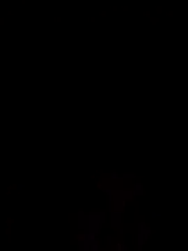 gdjejwikfk online show from November 2025 06:35:02 AM