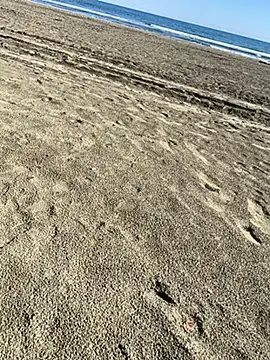 ratemydickbabe online show from December 2025 09:32:01 AM