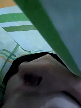 LoiroSafadinho online show from February 2026 03:17:02 AM