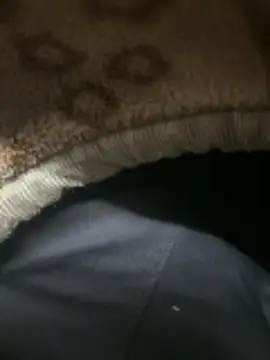 your playboy 00 online show from February 2026 06:37:02 PM