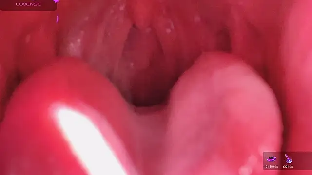 LT-333 online show from March 2026 02:56:02 PM