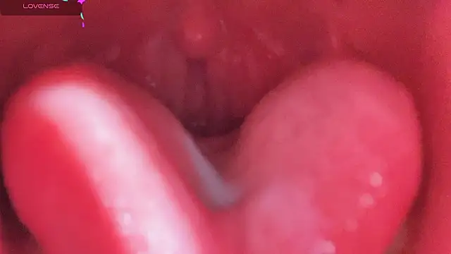 LT-333 online show from February 2026 05:13:01 PM