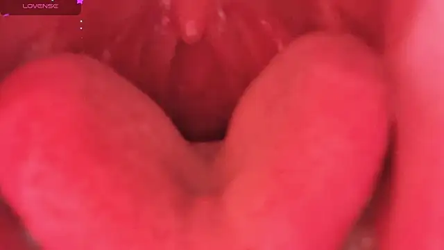 LT-333 online show from February 2026 08:38:01 PM