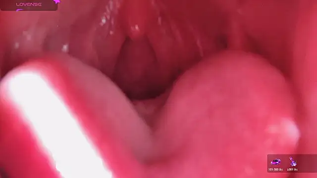 LT-333 online show from February 2026 06:02:02 AM