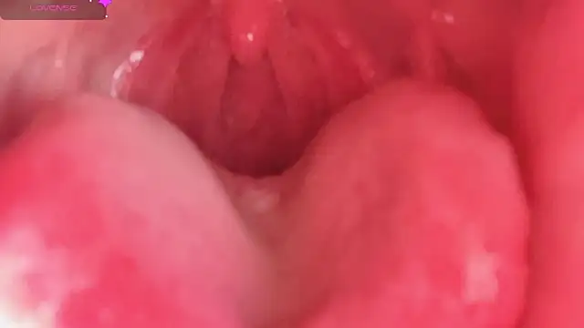 LT-333 online show from February 2026 04:39:02 PM