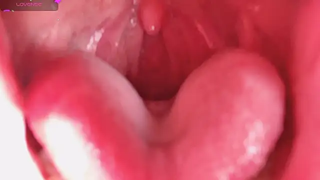 LT-333 online show from February 2026 08:26:01 PM