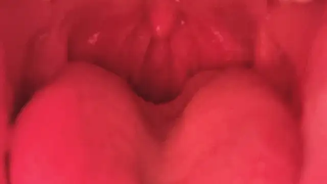 LT-333 online show from January 2026 03:52:01 PM