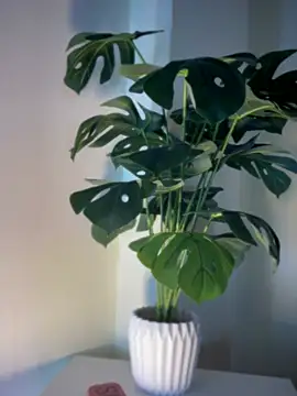 ZoeyFierce online show from March 2026 01:36:02 PM