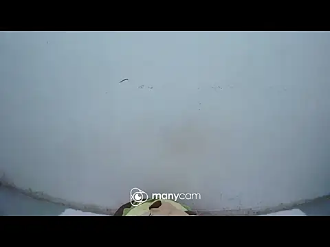 hottiemama69 online show from April 2026 09:48:01 PM