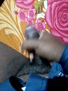 Snapshot of Subhas-Shoes chatting on January 2026 03:51:01 PM Subhas-Shoes online show from January 2026 03:51:01 PM